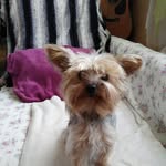 Nancy Sedano - @berliozdu69 - Instagram