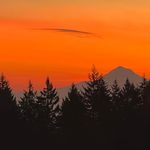 Nancy Brickley Seely - @nancybrickleyseely - Instagram