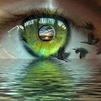 Nancy Segers - Facebook