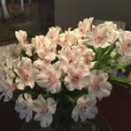 Nancy Seguin - Facebook