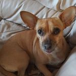 Nancy Selby - @selbynancy - Instagram
