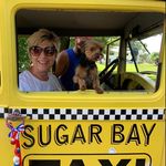 Nancy Selby - @nancyselby9 - Instagram