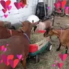 nancyselig - @nancyselig - TikTok