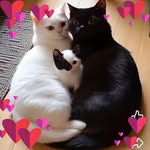 Nancy Selim - @nancylauraselim - Instagram