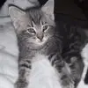 Nancy Seling-Nagel - @nancy.selingnagel - TikTok