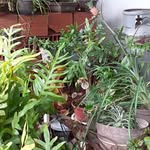 Nancy Sequera - @nancy.sequera.5268 - Instagram