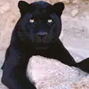 Nancy Sequera - @nancy.sequera4 - TikTok