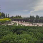 nancy settle - @nancy7000070000 - Instagram
