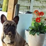 Nancy Van Severen - @vanseverennancy - Instagram