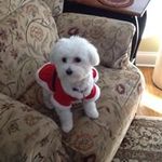 Nancy Severs - @nancysevers - Instagram