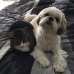 Nancy Shadeed Kirwin - @nancyshadeedkirwin - Instagram