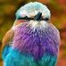 Nancy Shaner Moore - Facebook