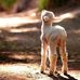 Nancy Shank - Facebook