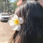 Nancy Shankhwar - @nancy_shankhwar_08 - Instagram