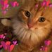 Nancy Shields - Facebook