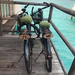 Nancy Shive Tanella - @bligh1197 - Instagram