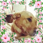 Nancy Shockley - @32570nls - Instagram