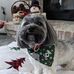 Nancy Shockley - Facebook