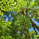 Nancy Shoemaker - @nancyshoemaker46 - Instagram