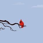 Nancy Shoemaker - @piecrustnana - Instagram