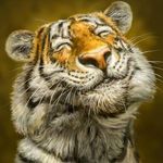 Nancy Shoemaker - @nancy.shoemaker.14 - Instagram