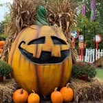 Nancy Shoemaker Dodge - @nancyshoemakerdodge - Instagram