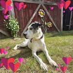 Nancy Wilks Shoemaker - @nkshoe64 - Instagram