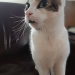 Nancy Langford Shulman - @langfordshulman - Instagram