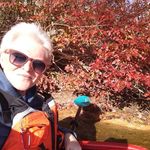 Nancy Sicard - @nancysicard - Instagram