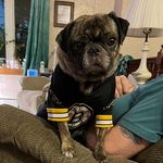 Nancy Sicard Richard - @ladybuggrandma07 - Instagram