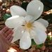 Nancy Sickler - Facebook
