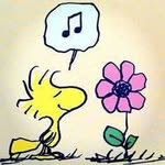 Nancy Sikes - @tkam138 - Instagram