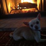 Nancy Sills - @nancy.sills.56 - Instagram