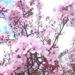 Nancy Silvia Mondon - @nancymondon - Instagram