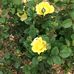 Nancy Simonds - Facebook