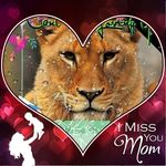 Nancy Simonson - @simonson5925 - Instagram