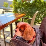 Nancy Simonson - @nancy.simonson.5 - Instagram
