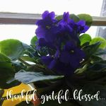 Nancy Sinclair - @granniescookin195459 - Instagram