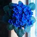 Nancy Sipe - Facebook