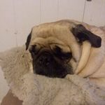Nancy Sipes - @nancy.sipes.56 - Instagram