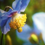 Nancy Sipes - @nancysipes2 - Instagram