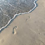 Nancy Sirois - @nancy.sirois.75 - Instagram