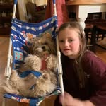 Nancy Sisk - @nancy.sisk.37 - Instagram