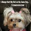 Nancy Sisneros727 - @nancysisneros1 - TikTok