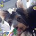Nancy Sitton - Facebook