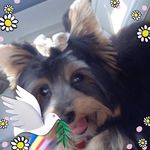 Nancy Sitton - @nancylsitton - Instagram