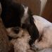 Nancy Skillman - Facebook