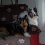 Nancy Barron Skoog - Facebook