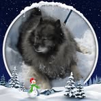 Nancy Skoog - Facebook