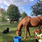 Nancy Skoog - Facebook
